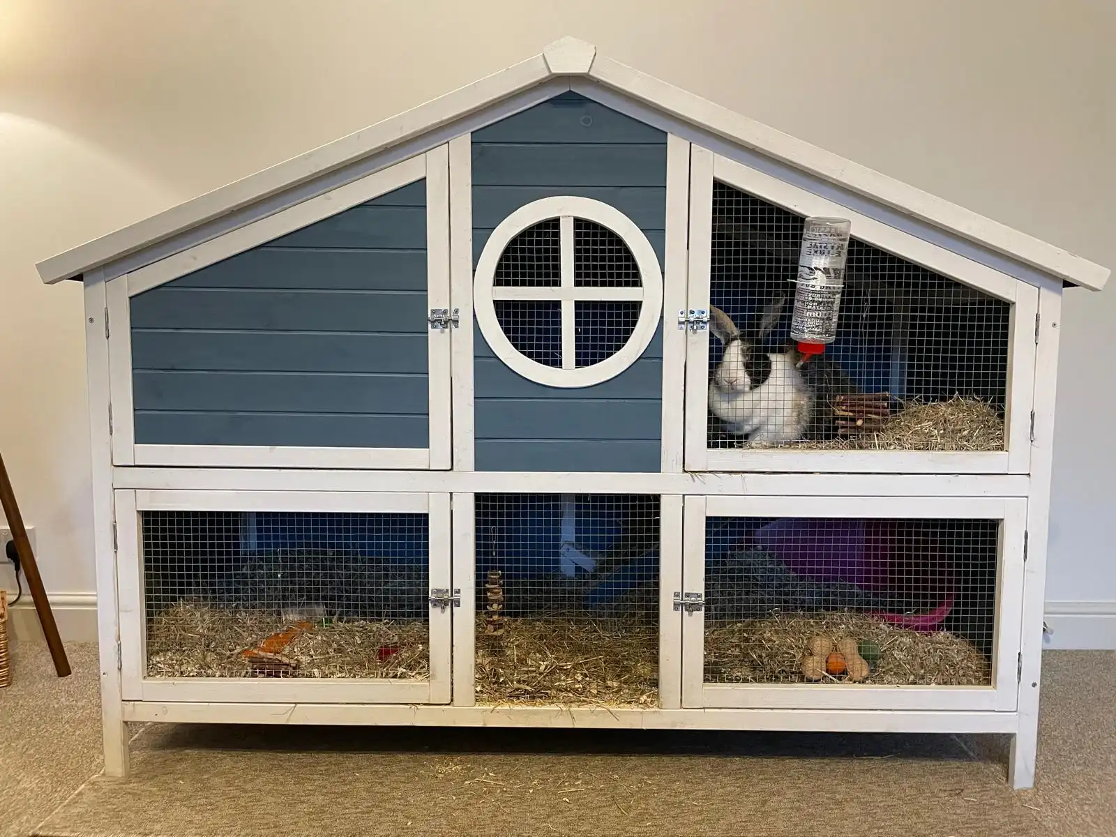 A rabbit in a mansion